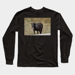 Wild Horse Long Sleeve T-Shirt